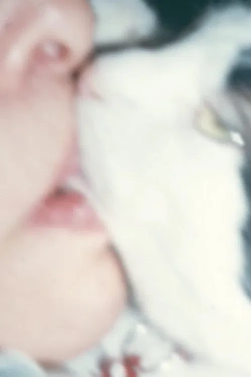 Mysteries of the Pussies poster