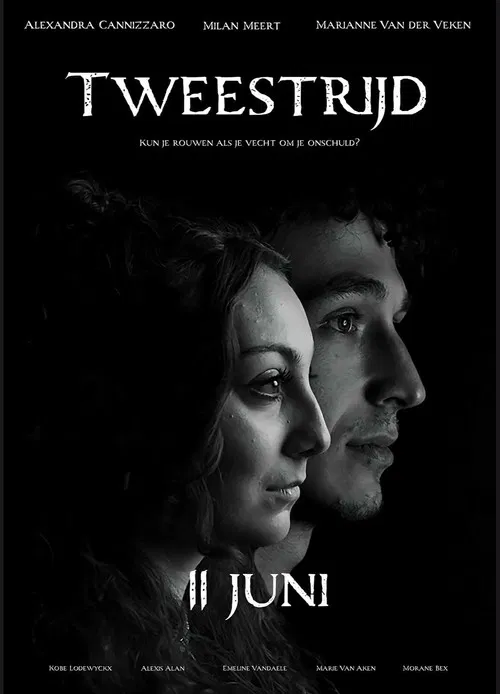 Tweestrijd poster