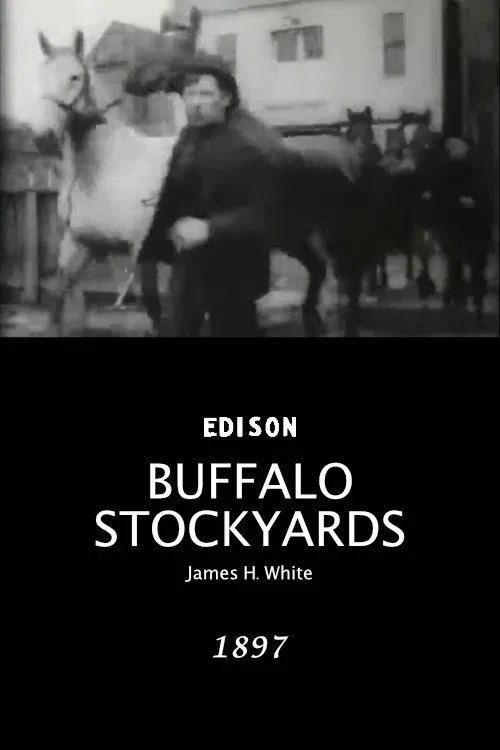 Buffalo Stockyards poster