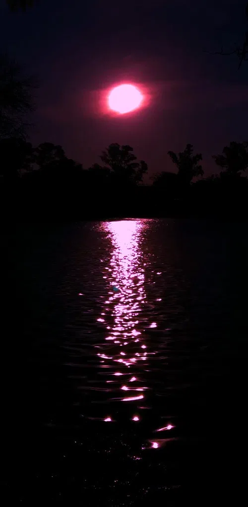 Uma Carta Alienígena poster