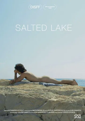 Salted Lake poster