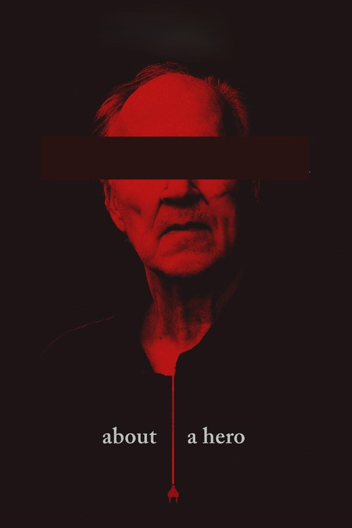 About a Hero poster
