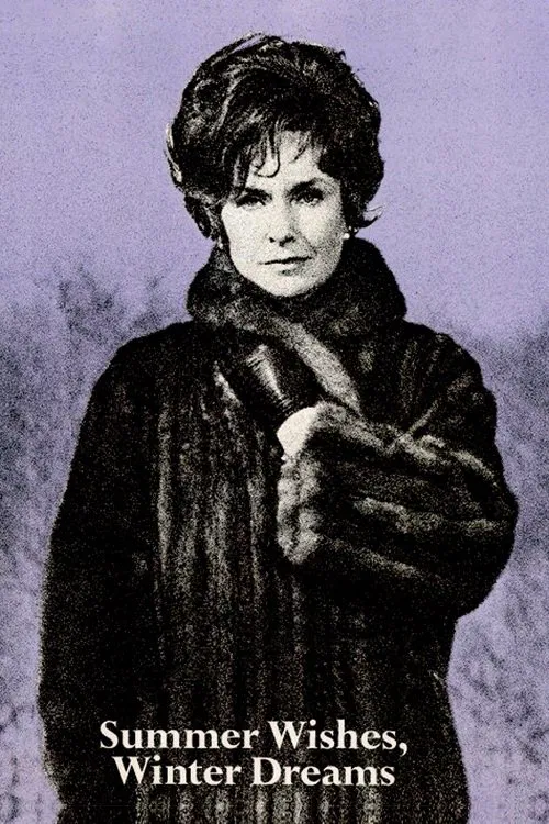 Summer Wishes, Winter Dreams poster