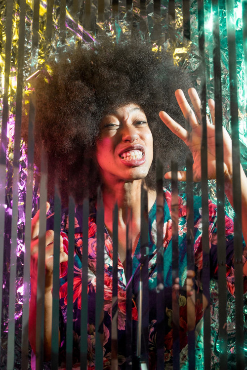 Linqua Franqa profile