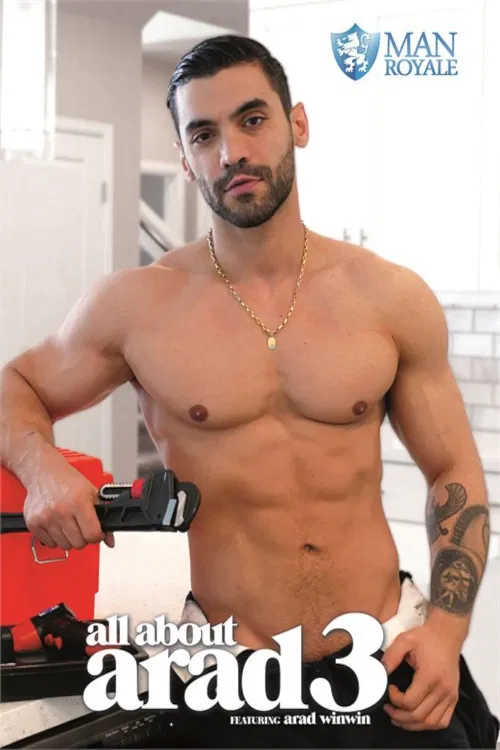 All about Arad 3 poster