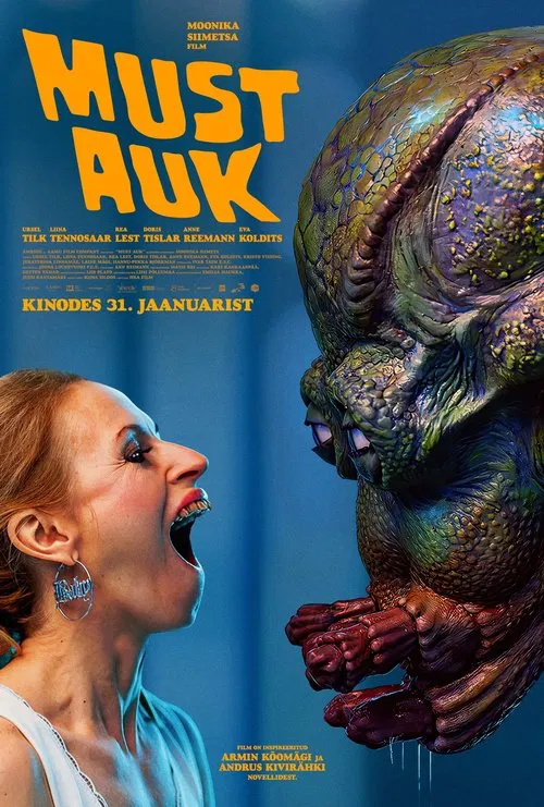 The Black Hole poster