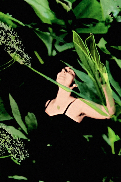 Birth of the Alseides poster