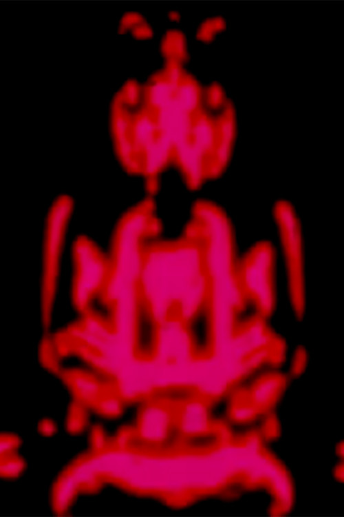 The Star Curtain Tantra poster