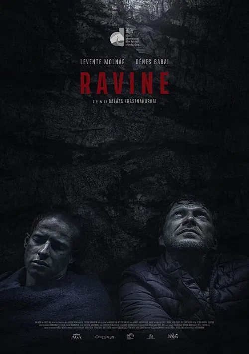 Ravine poster