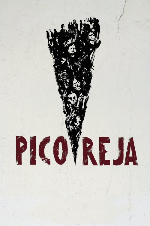 Pico Reja: The Truth Buried Beneath poster