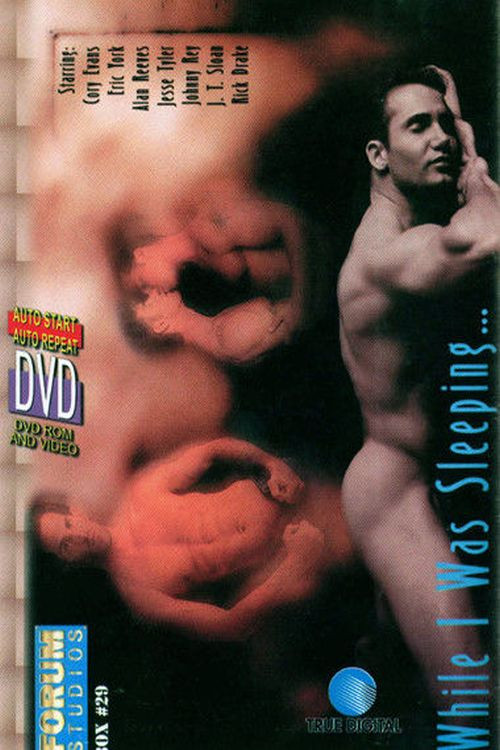 While I Was Sleeping poster