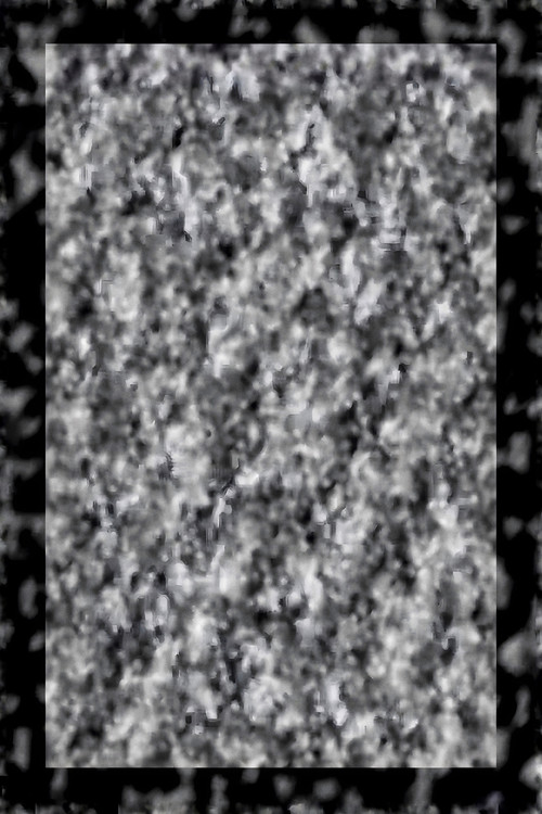 While We Look Down poster