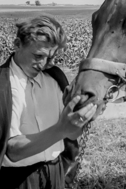 The Land Is Waiting poster