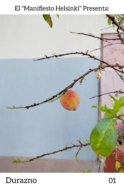 Durazno poster