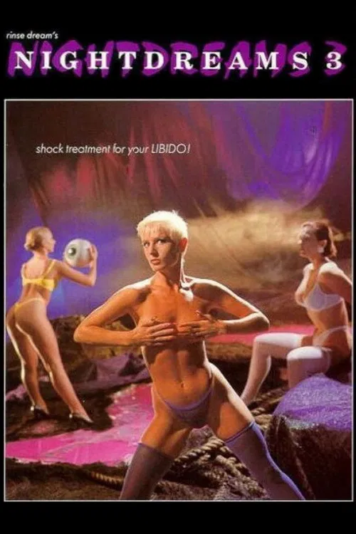 Nightdreams 3 poster