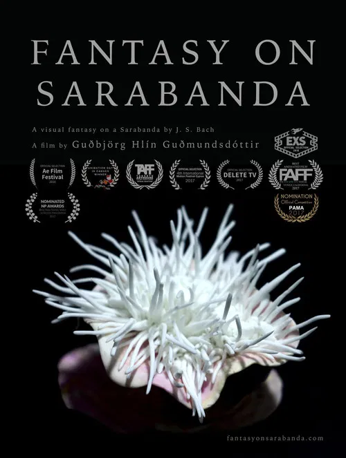 Fantasy on Sarabanda poster