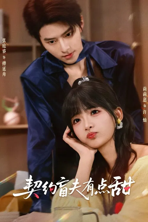 契约盲夫有点甜 poster