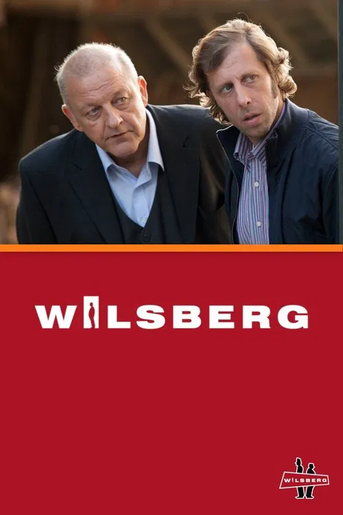Wilsberg poster