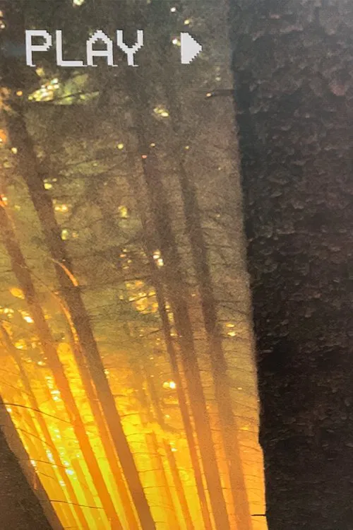 In The Forest poster