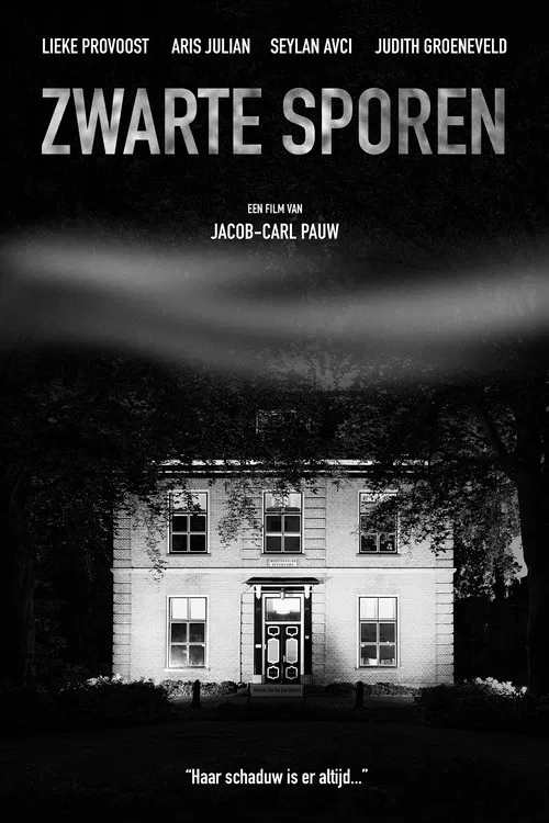 Zwarte Sporen poster