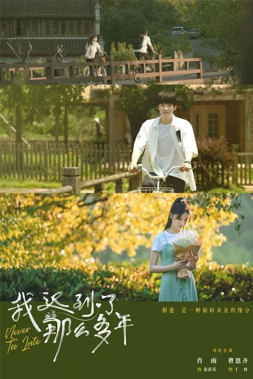 Never Too Late poster