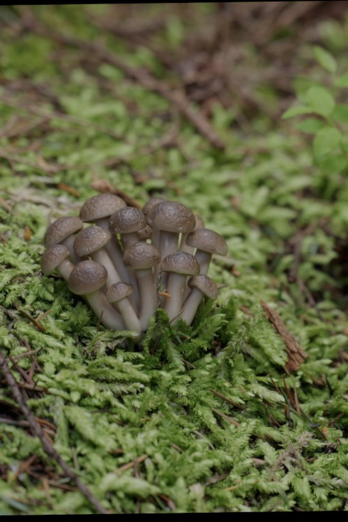 What's The Purpose poster