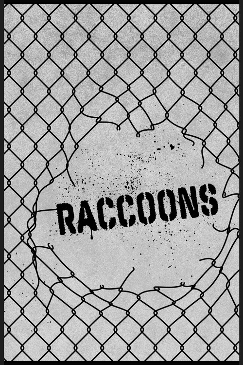 Raccoons poster