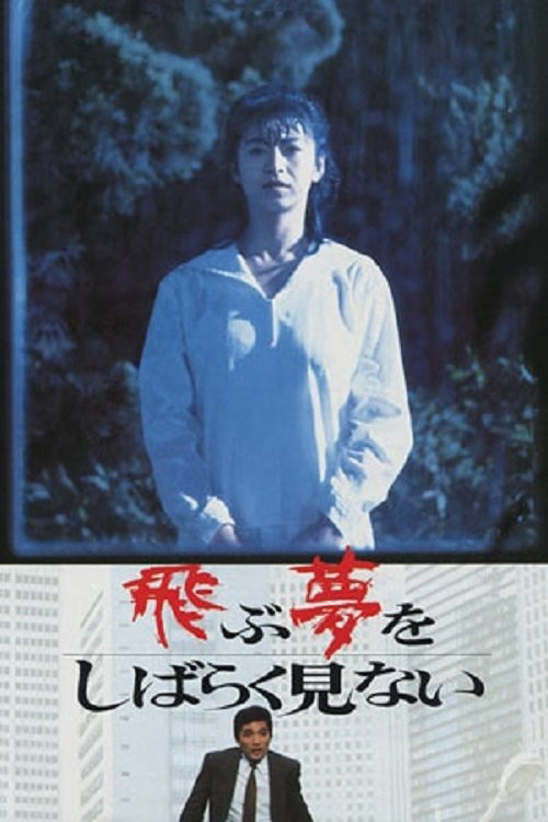 A Paucity of Flying Dreams poster