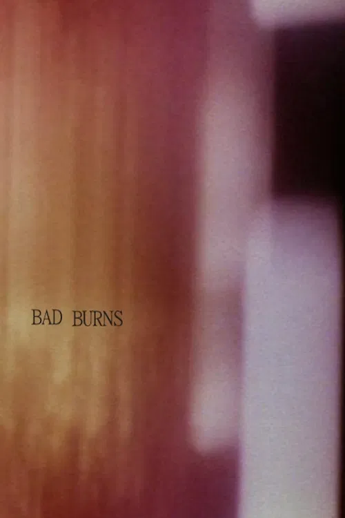 Bad Burns poster
