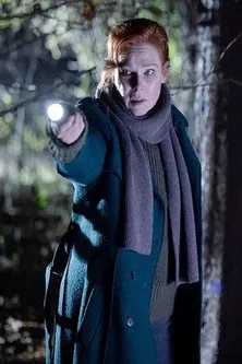 Charlotte Link - Einsame Nacht poster