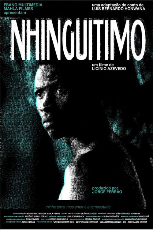 Nhinguitimo poster