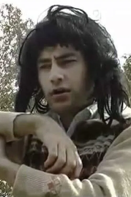 Falling Leaves poster