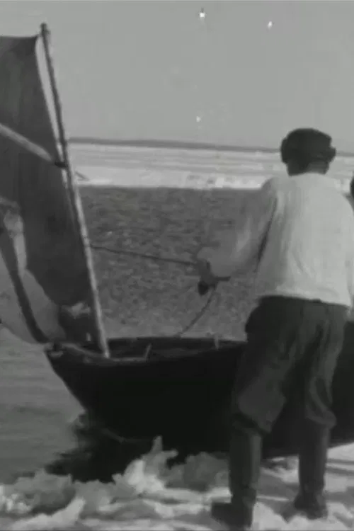 Ülgepüüdäjäd poster