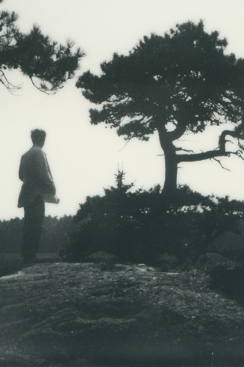 Ryland Bouchard profile