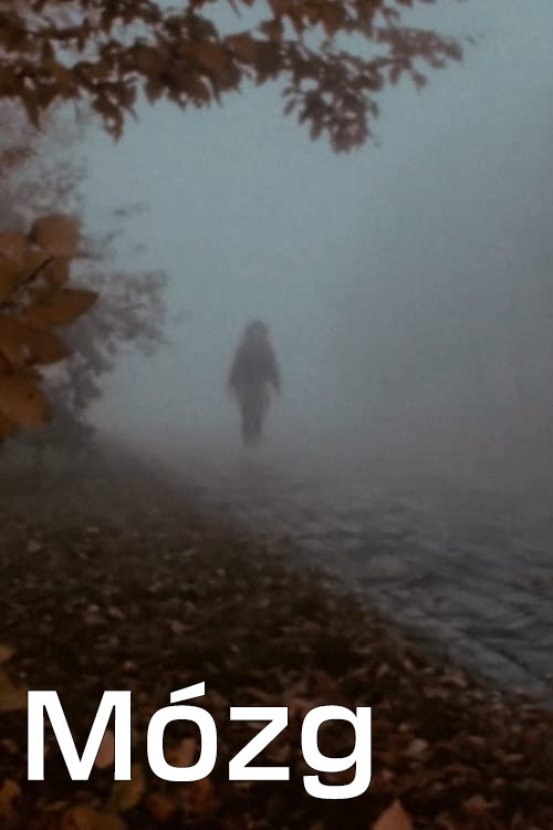 Mózg poster