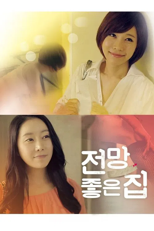 House with a Nice View poster