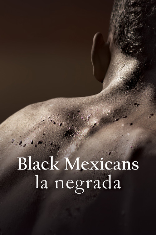 Black Mexicans poster