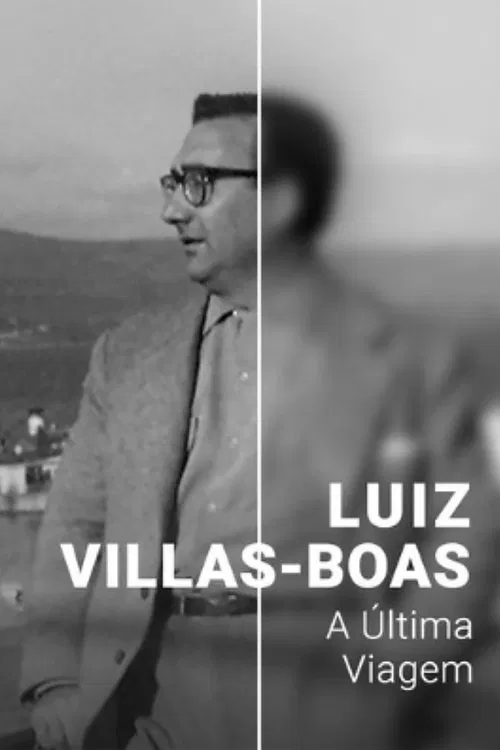 Luiz Villas-Boas: A Última Viagem poster