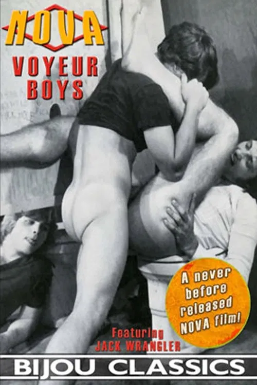 Voyeur Boys poster