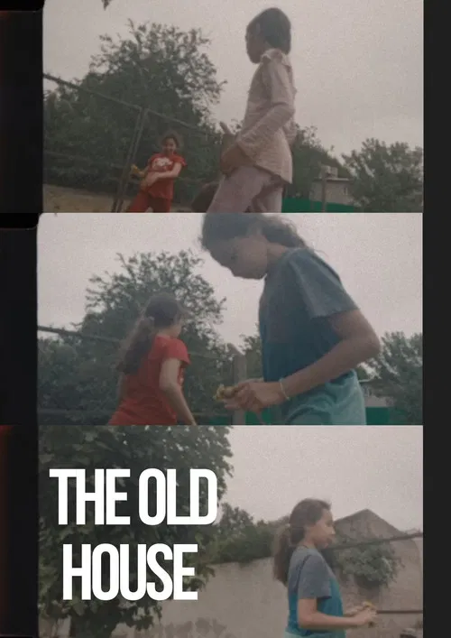 The Old House poster