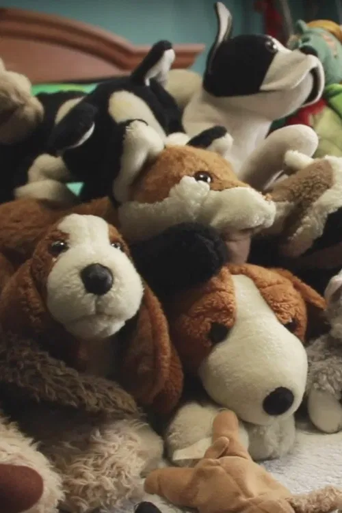 The Entire History of Dogtown poster