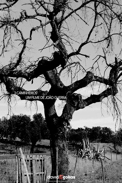 3 Caminheiros poster