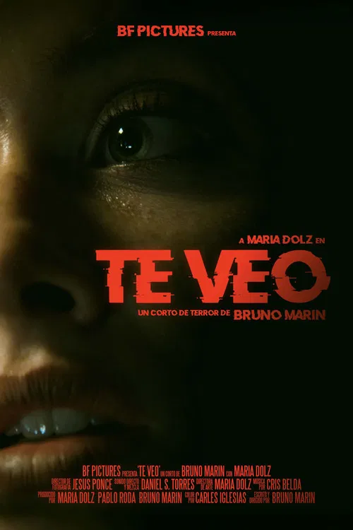 Te Veo poster