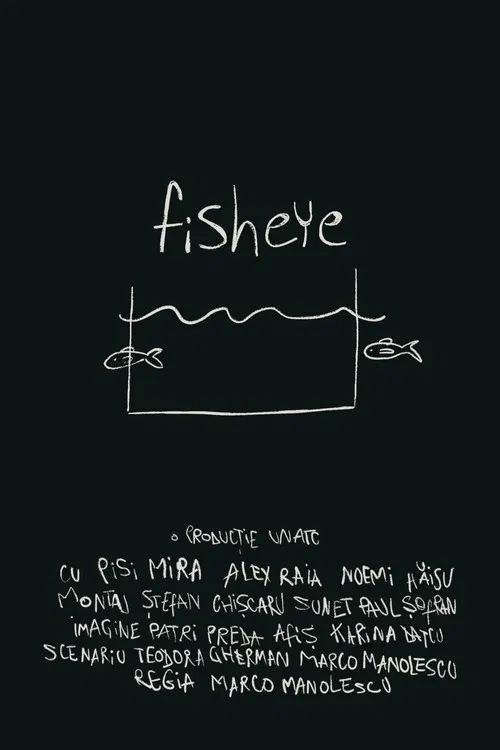 fisheye poster