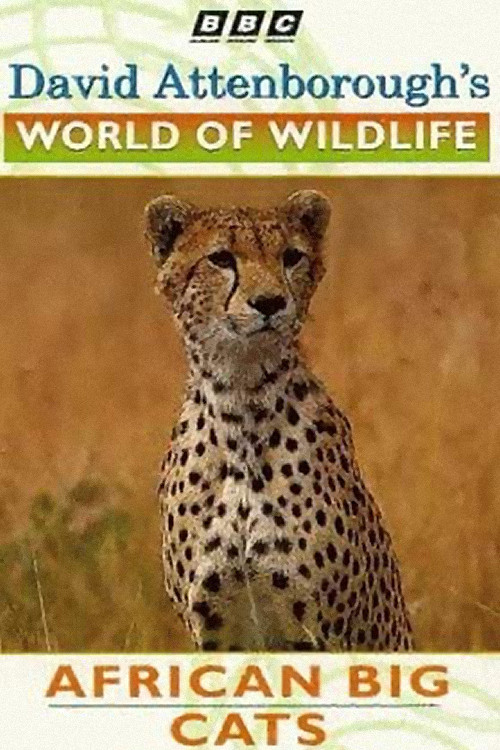 World of Wildlife: African Big Cats poster