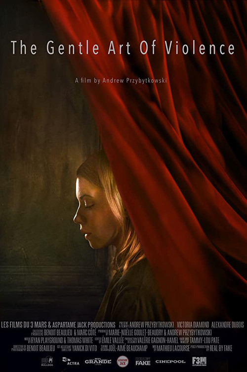 The Gentle Art of Violence poster