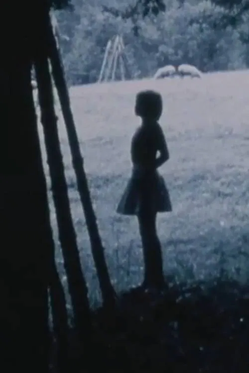 Passing Through/Torn Formations poster