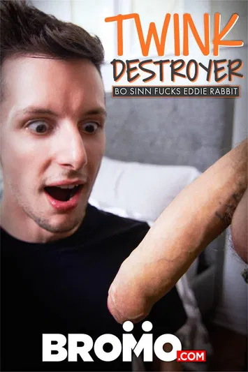 Twink Destroyer poster