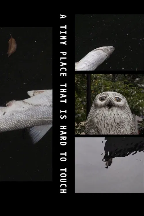 A Tiny Place That Is Hard to Touch poster