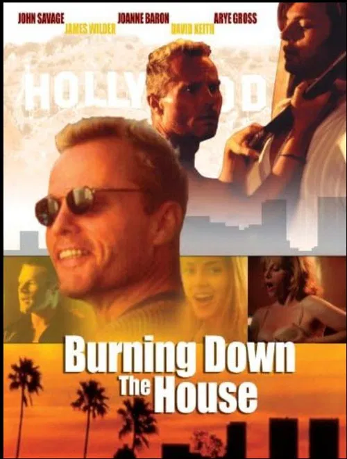 Burning Down the House poster